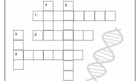 genetics 8th grade worksheet