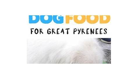 Best Dog Food for Great Pyrenees for 2020: Palatable Foods To Feed Your