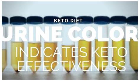 How Urine Color Can Reveal If the Ketogenic Diet Is Working - YouTube
