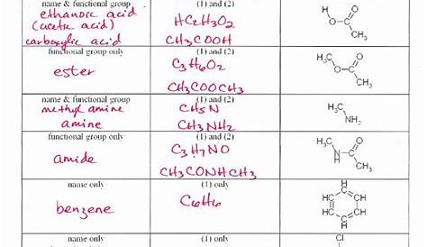 50 Chemical Bonding Worksheet Answer Key