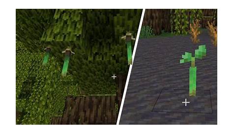 Read How to Get (& Use) Mangrove Propagules in Minecraft 💎