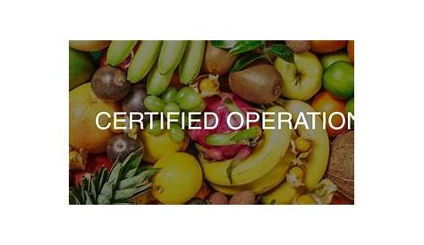 Certified Operations – Auditing Operation Services