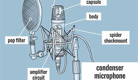 parts of a condenser microphone