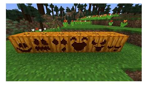 Pumpkin Carving! : Minecraft