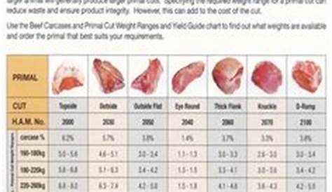 Beef Cuts on Pinterest