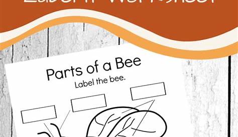 Free Printable Parts of a Bee Preschool Worksheet