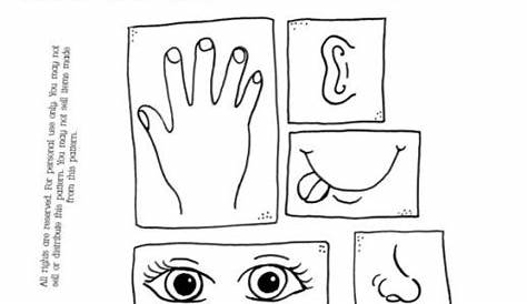 Five Senses Sorting Printable | | Senses preschool, Five senses