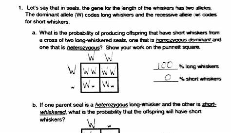 punnett square practice worksheets 1 answer key