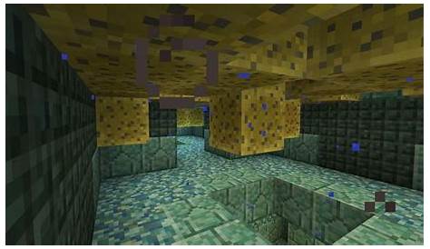 where do sponges spawn minecraft