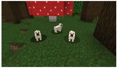 how to spawn dogs in minecraft