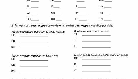Worksheet On Basic Genetics Answers - Printable Word Searches