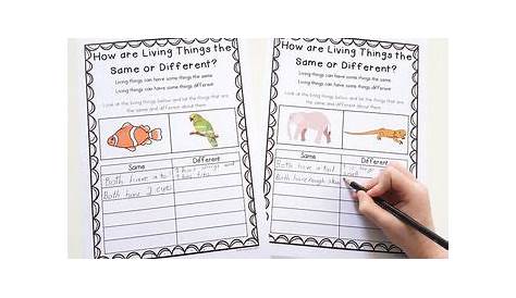 similarities and differences worksheet kindergarten