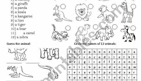 animals activities for kindergarten