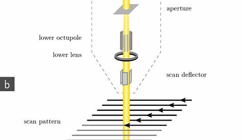 electron microscope schematic diagram