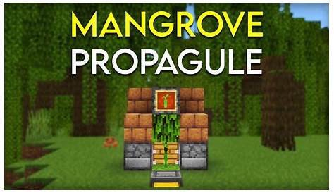 mangrove propagules minecraft use