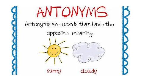 Antonyms and Synonyms | First Grade | Pinterest | Anchor Charts