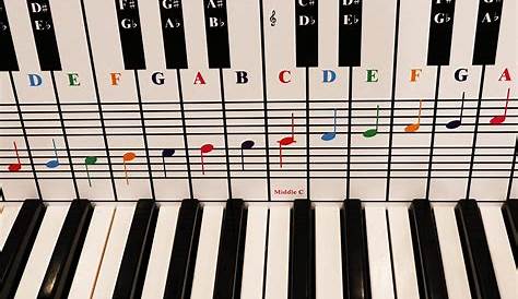 Keyboard Note Chart Behind the Piano Keys - Quality Music Gear