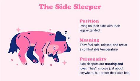 10 Dog Sleeping Positions + Their Adorable Meanings - Casper Blog