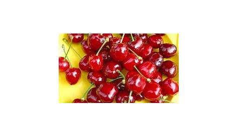 Kinds of Cherries
