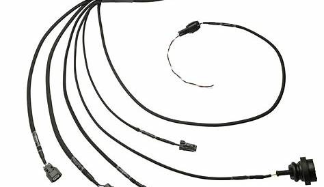 Universal S14 KA24DE PRO Series Wiring Harness | Wiring Specialties