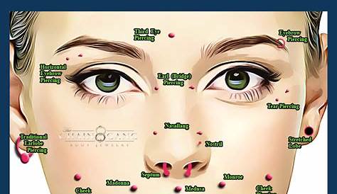 Facial Piercings Infographic | Facial piercings, Face piercings, Face