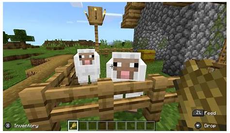 what to feed sheep in minecraft