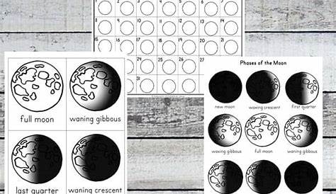 structure of the moon worksheets