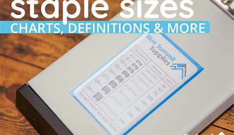 Staple Sizes: Charts, Definitions, and More for All Types of Staples