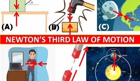 isaac newton's 3 laws of motion worksheets