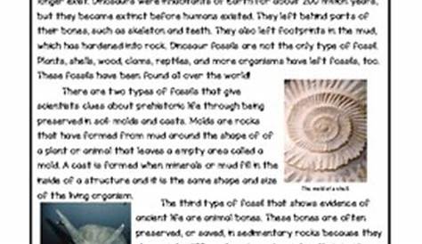 Fossil Facts Nonfiction Reading Comprehension and Questions by The Lit