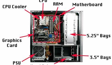 give a labelled diagram of the cpu and it's parts - Brainly.in