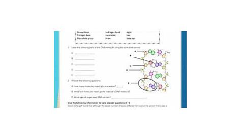 molecular compound worksheet