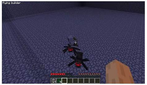 Skeleton Riding Spider in minecraft - YouTube