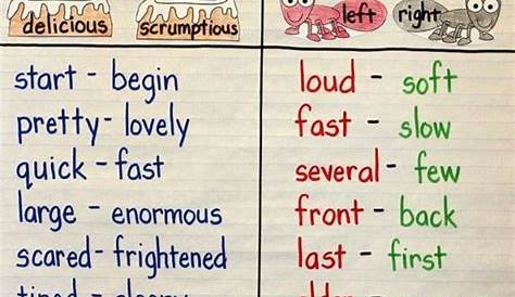synonyms and antonyms examples for grade 3