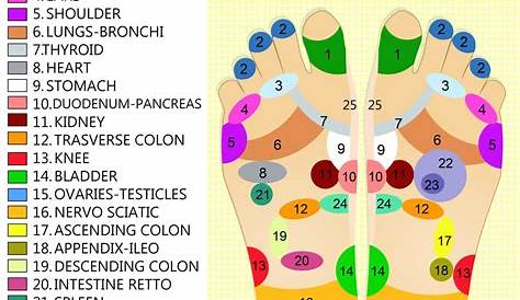 reflexology foot and hand chart