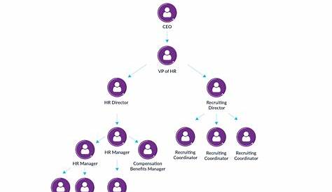 Human Resources Organization Chart: What Is It and How to Create One?