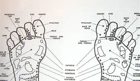 female acupuncture points chart