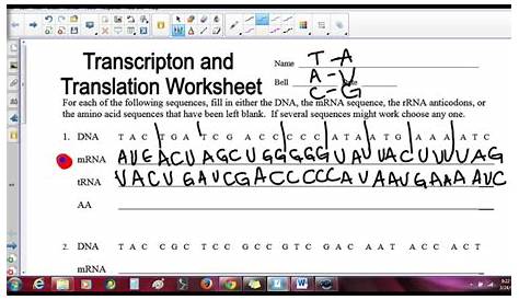 transcription and translation practice worksheets answer key