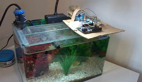 how to make an automatic fish feeder