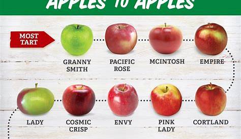 The Great Apple Harvest | Food facts, Best apple recipes, Apple recipes