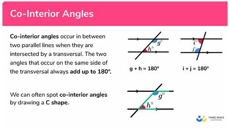 interior angles worksheets