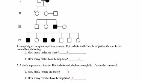 genetics pedigree worksheet with answers