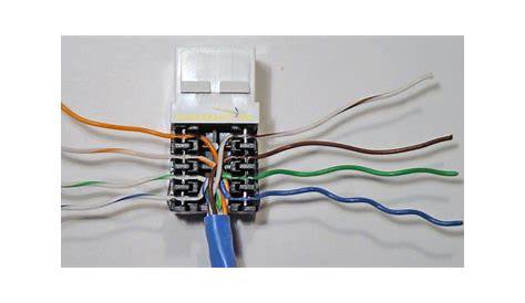 Cat 5E Jack Wiring - Terminating Wall Plates Wiring : Wiring diagrams