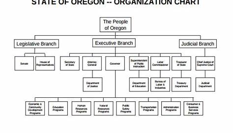 Example Business Plan Operations Department Organizational Chart
