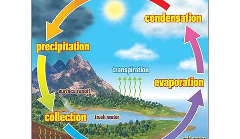 The Water Cycle Learning Chart, 17" x 22" - T-38119 | Trend Enterprises