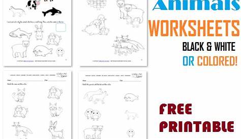 Free Printable Arctic Animals Worksheets - Polar Animals