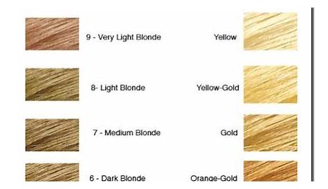 Level chart hair color 448084-Level 6 hair color chart loreal