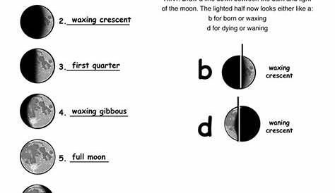 moon phases worksheet answers