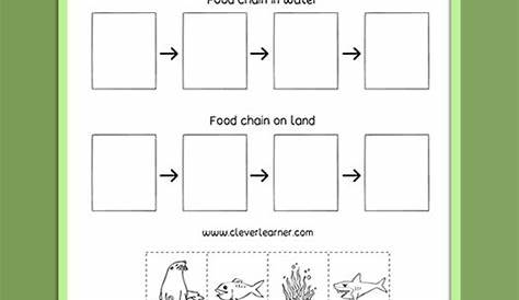 food chain worksheet 1st grade