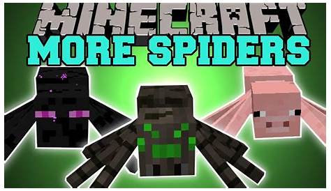 what does spiders eat in minecraft